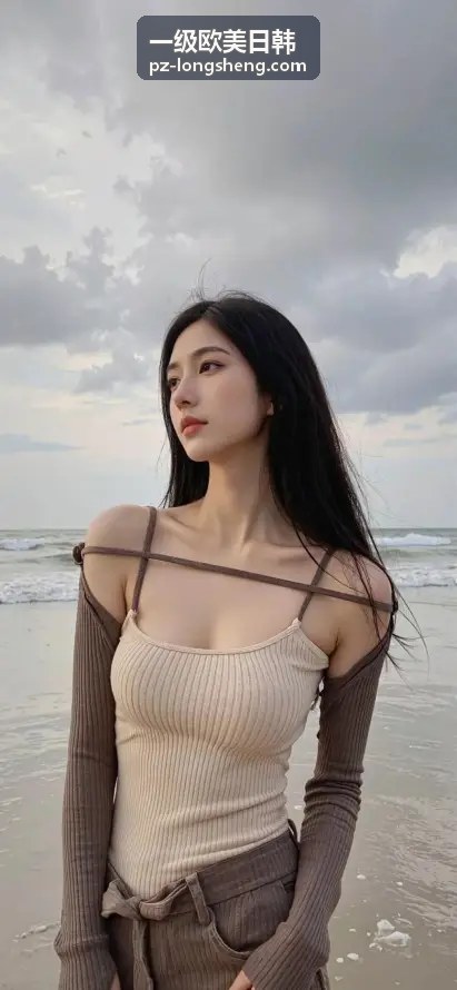 一级欧美日韩 决策支持